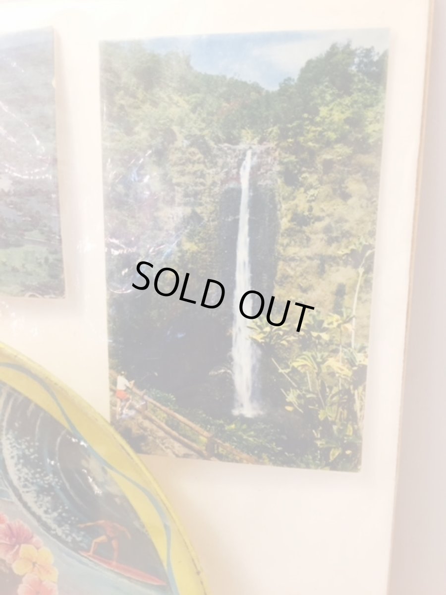 画像5: "Hawaii" Plate set (5)