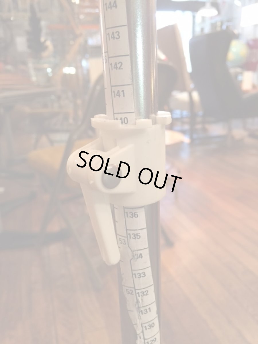 画像10: Vintage Lady Torso (10)