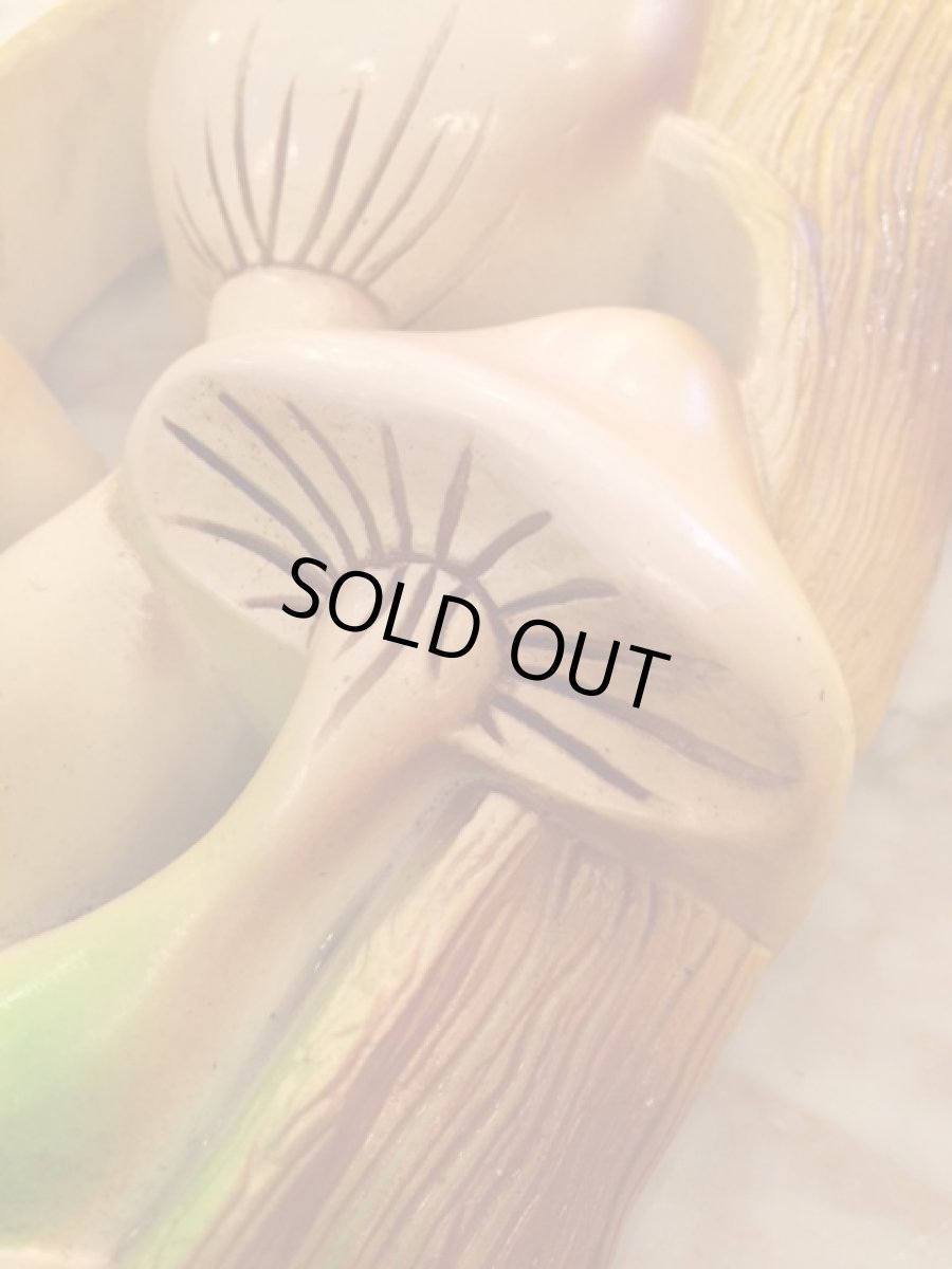 画像6: "MILLER STUDIO INC" Mushroom Wall Hang (6)