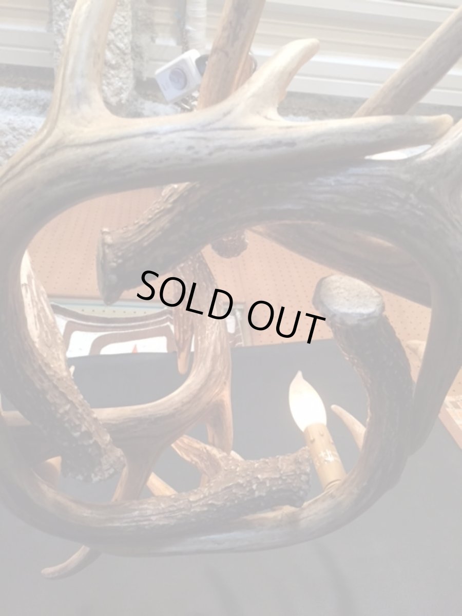 画像4: Antler Chandelier "MADE IN U.S.A" (4)