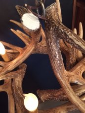 画像9: Antler Chandelier "MADE IN U.S.A" (9)