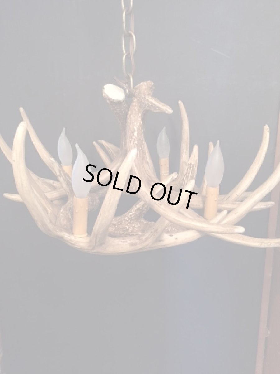 画像12: Antler Chandelier "MADE IN U.S.A" (12)