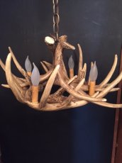 画像12: Antler Chandelier "MADE IN U.S.A" (12)