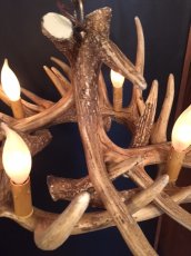 画像11: Antler Chandelier "MADE IN U.S.A" (11)