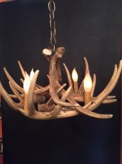 画像1: Antler Chandelier "MADE IN U.S.A" (1)