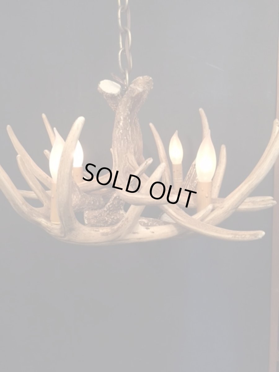 画像10: Antler Chandelier "MADE IN U.S.A" (10)