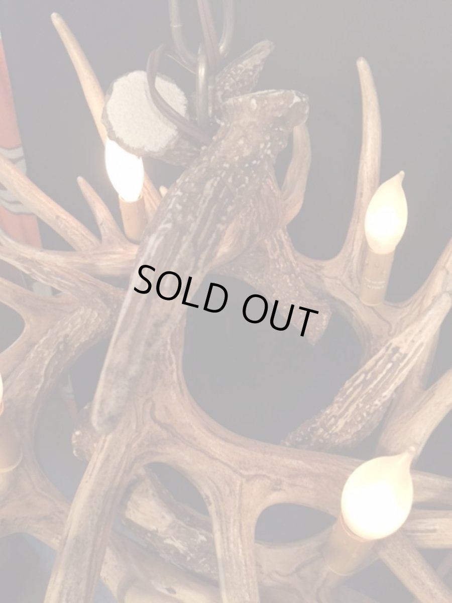 画像8: Antler Chandelier "MADE IN U.S.A" (8)