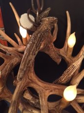 画像8: Antler Chandelier "MADE IN U.S.A" (8)