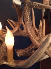 画像6: Antler Chandelier "MADE IN U.S.A" (6)