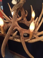 画像7: Antler Chandelier "MADE IN U.S.A" (7)