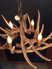 画像2: Antler Chandelier "MADE IN U.S.A" (2)