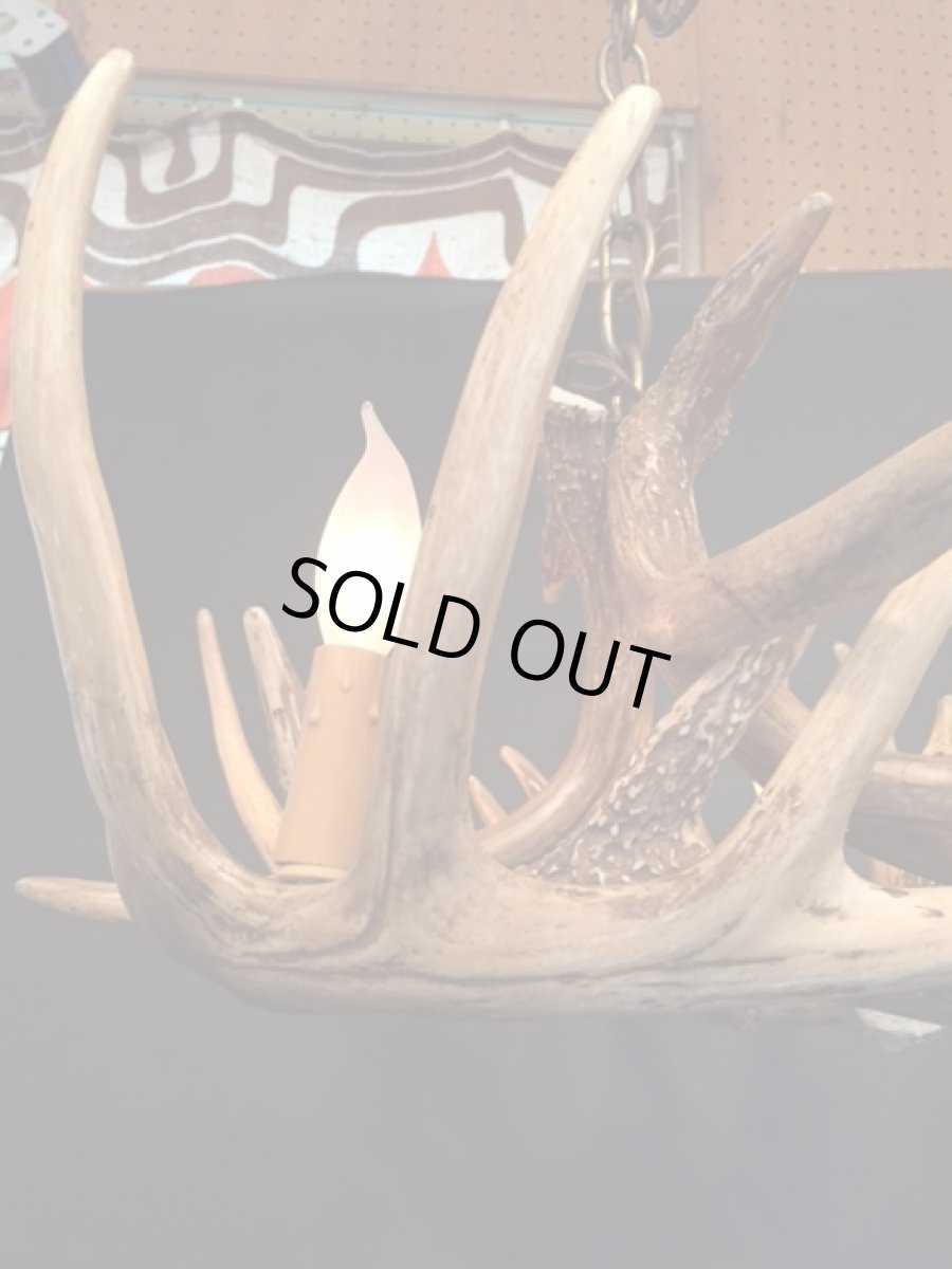画像5: Antler Chandelier "MADE IN U.S.A" (5)