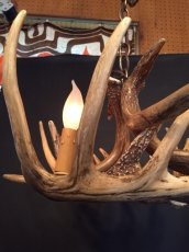 画像5: Antler Chandelier "MADE IN U.S.A" (5)