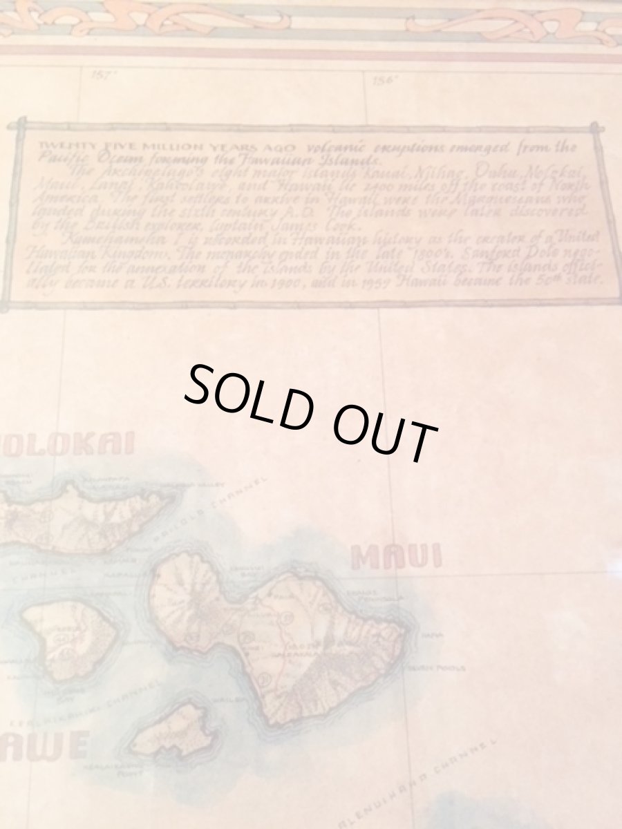 画像10: "Hawaiian"  Wall hang (10)