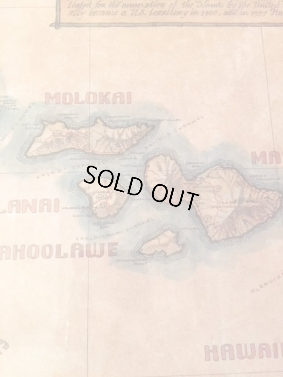 画像7: "Hawaiian"  Wall hang (7)