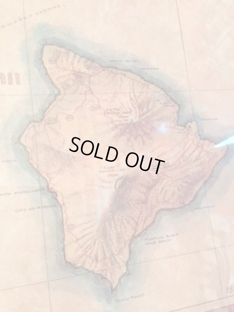 画像5: "Hawaiian"  Wall hang (5)