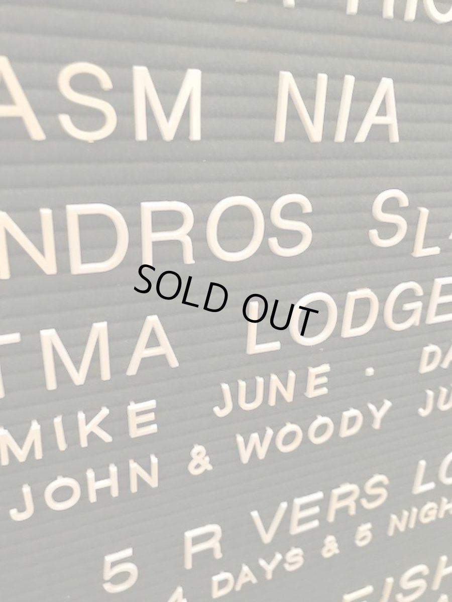 画像8: "DAVSON" SIGN (8)