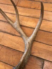 画像6: Antler Ornament (6)