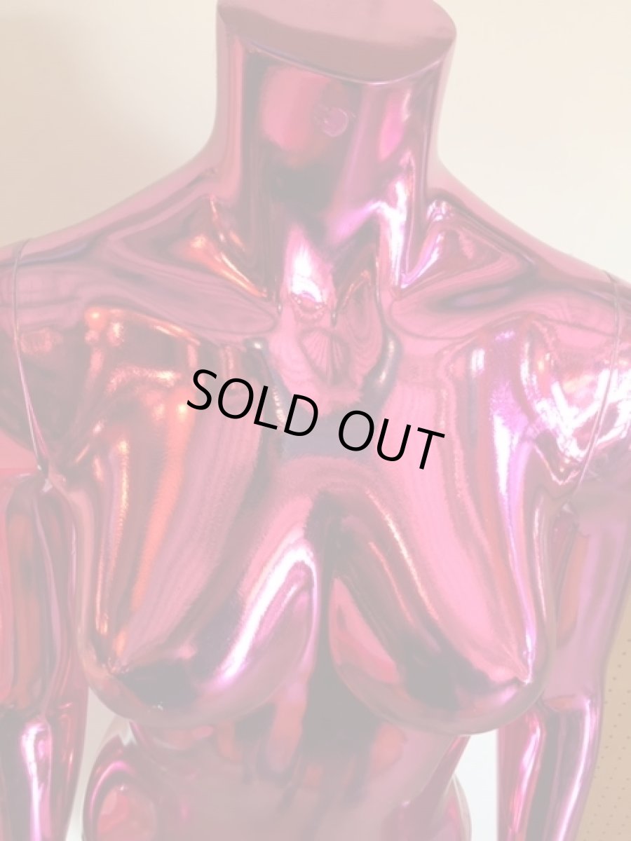 画像11: ”Metallic”Sexy Body (11)