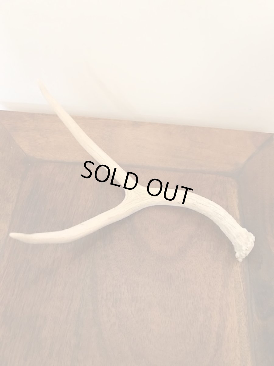 画像3: Antler Ornament  (3)