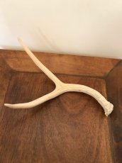 画像3: Antler Ornament  (3)