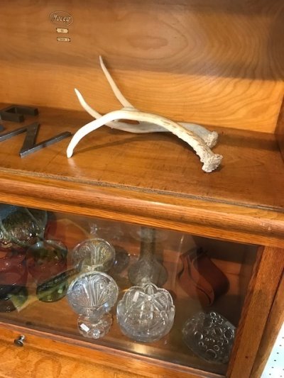 画像2: Antler Ornament 