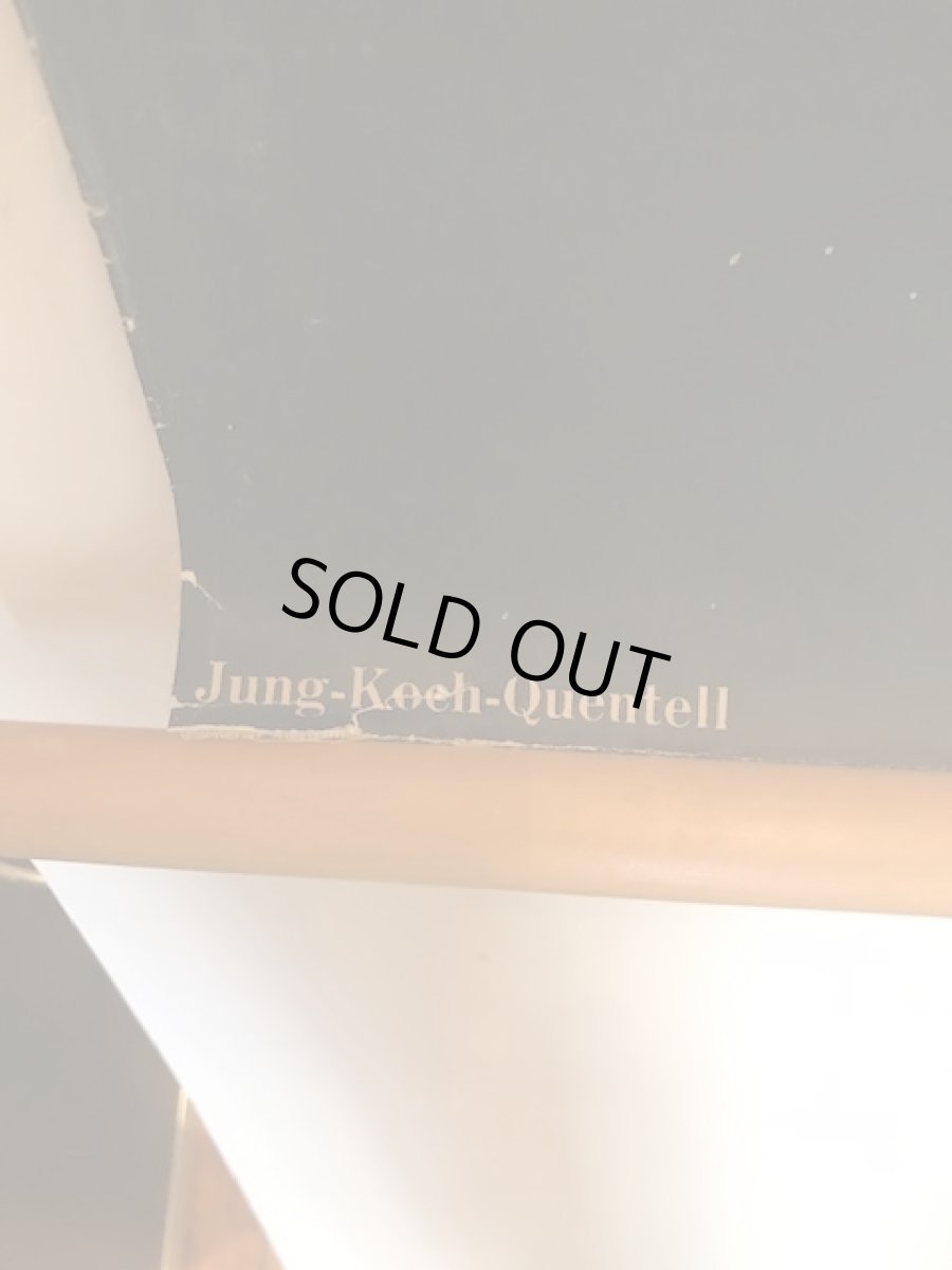 画像7: "TULIPA GESNERIANA" Vintage school Chart  (7)