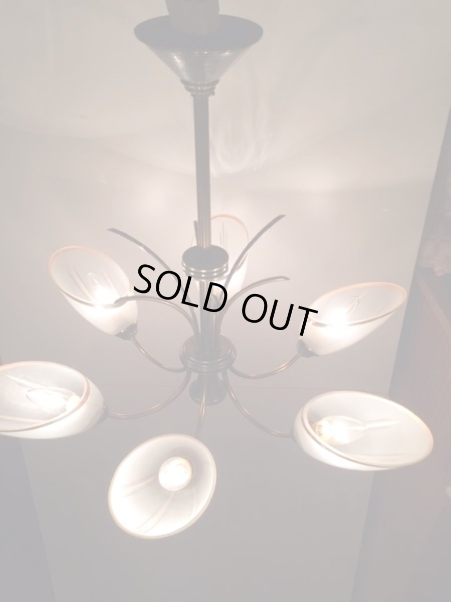 画像5: 6灯Modern Pendant Light (5)