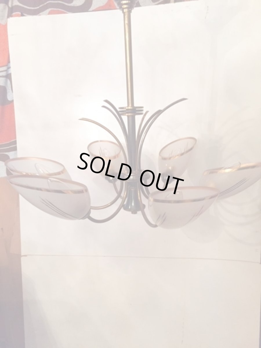 画像6: 6灯Modern Pendant Light (6)