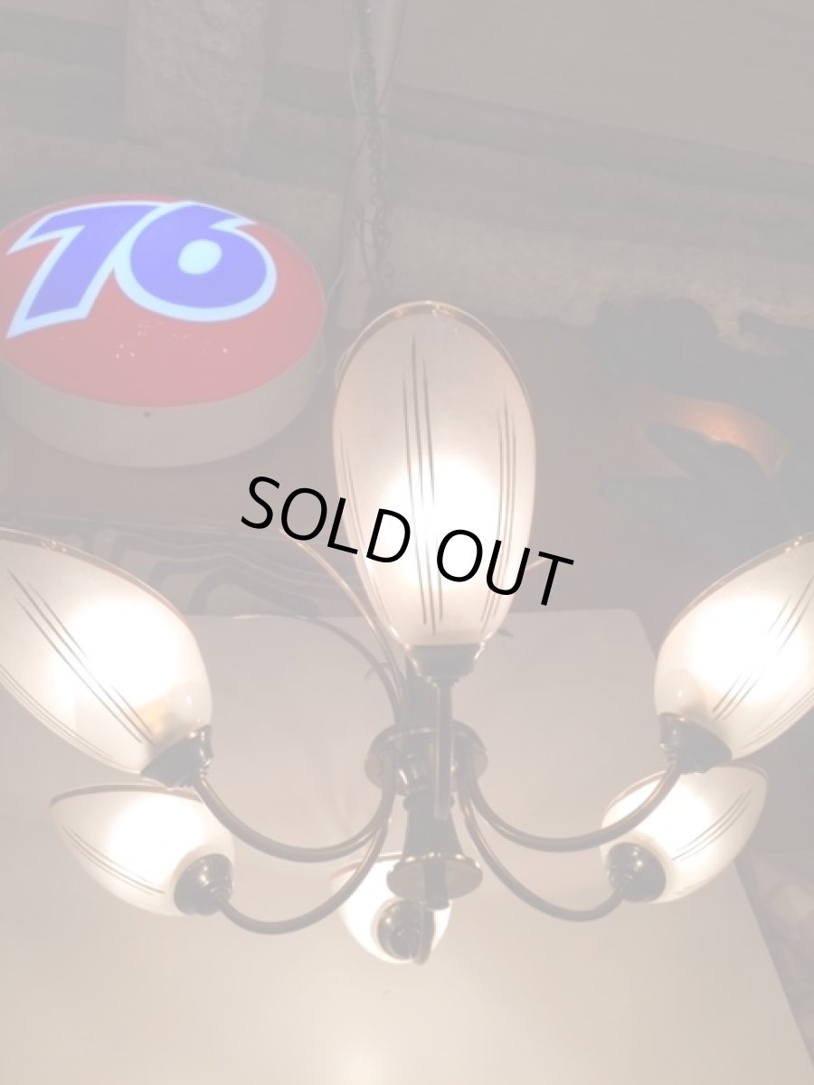 画像4: 6灯Modern Pendant Light (4)