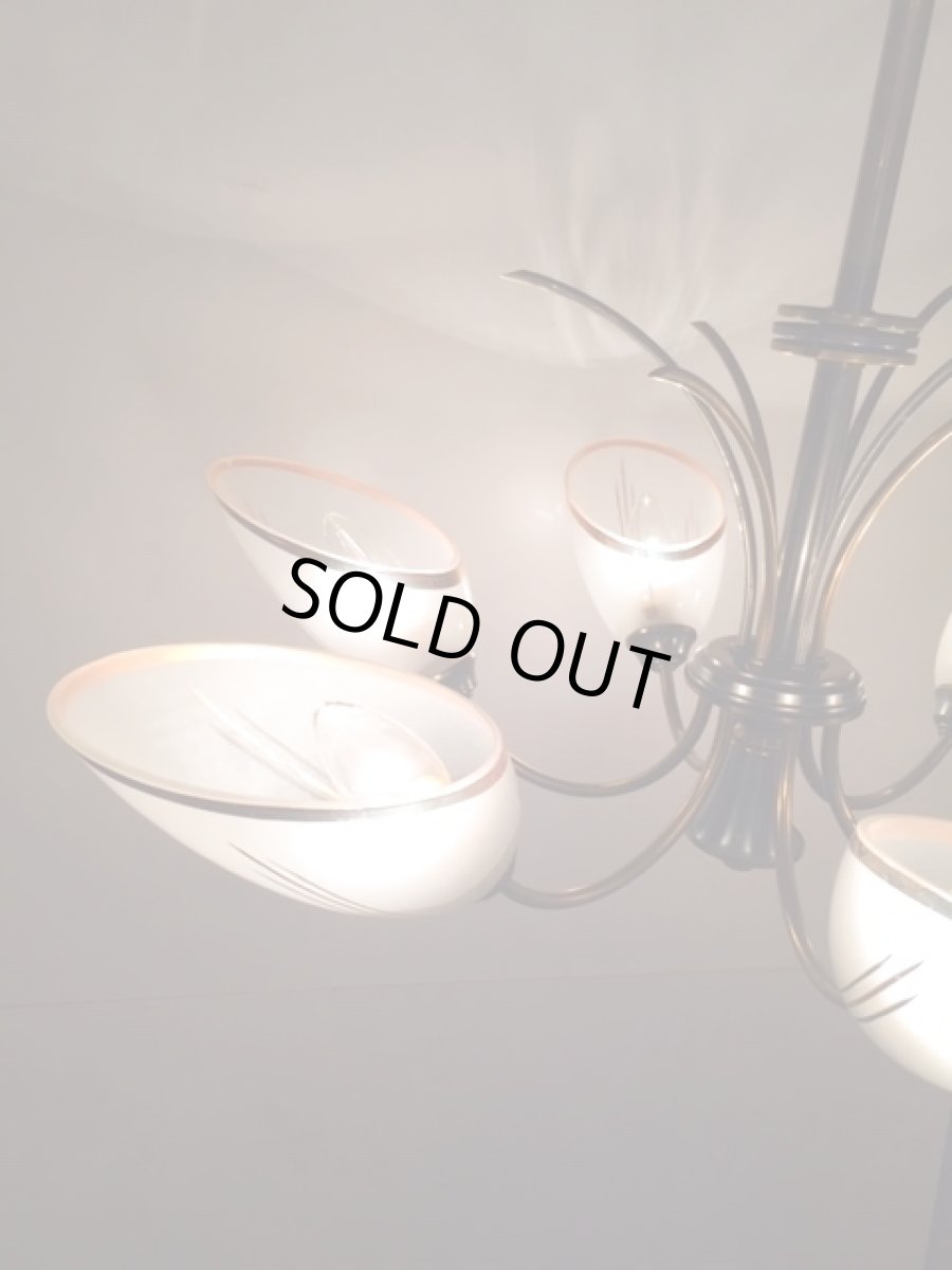 画像3: 6灯Modern Pendant Light (3)