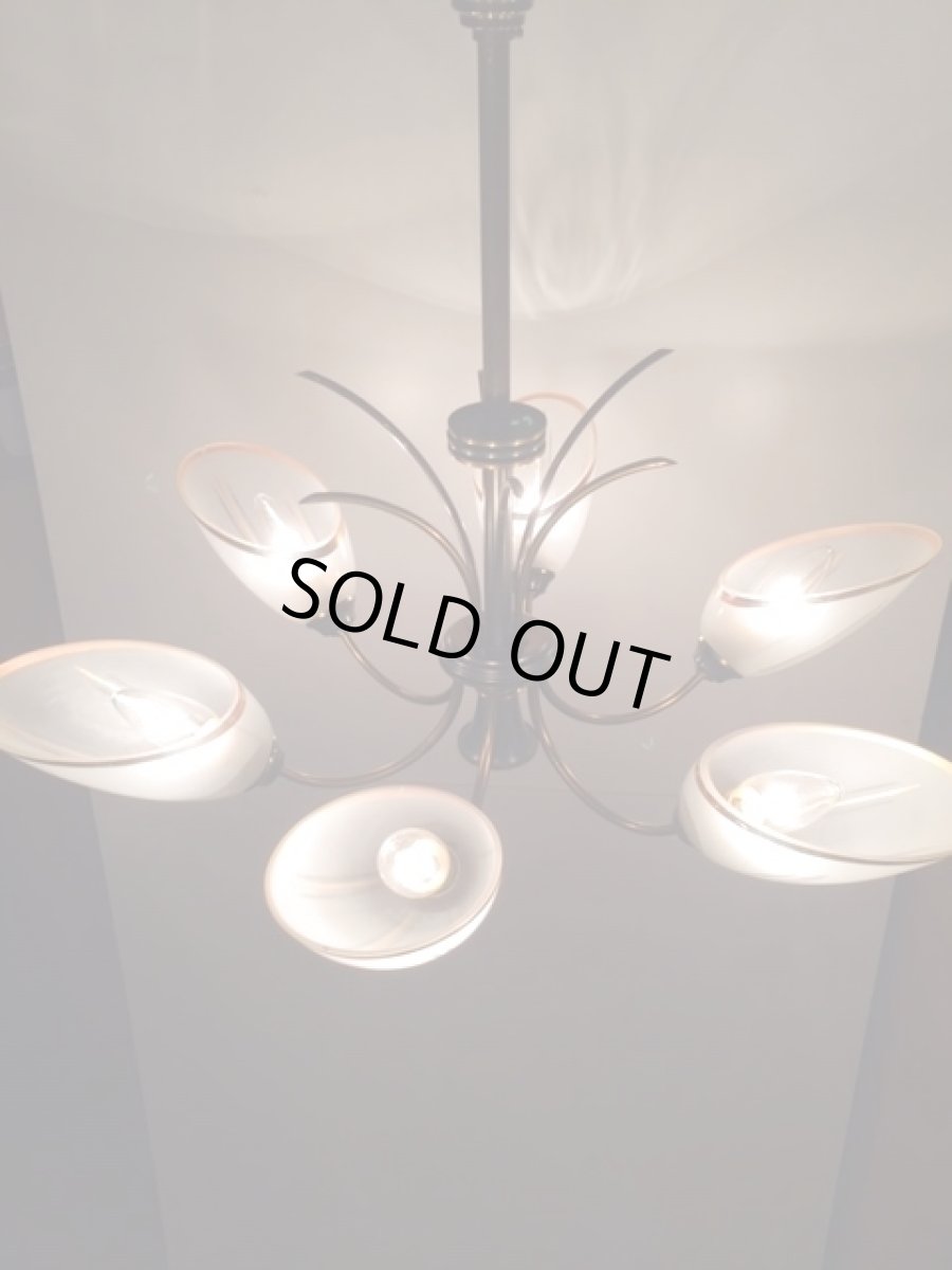 画像2: 6灯Modern Pendant Light (2)