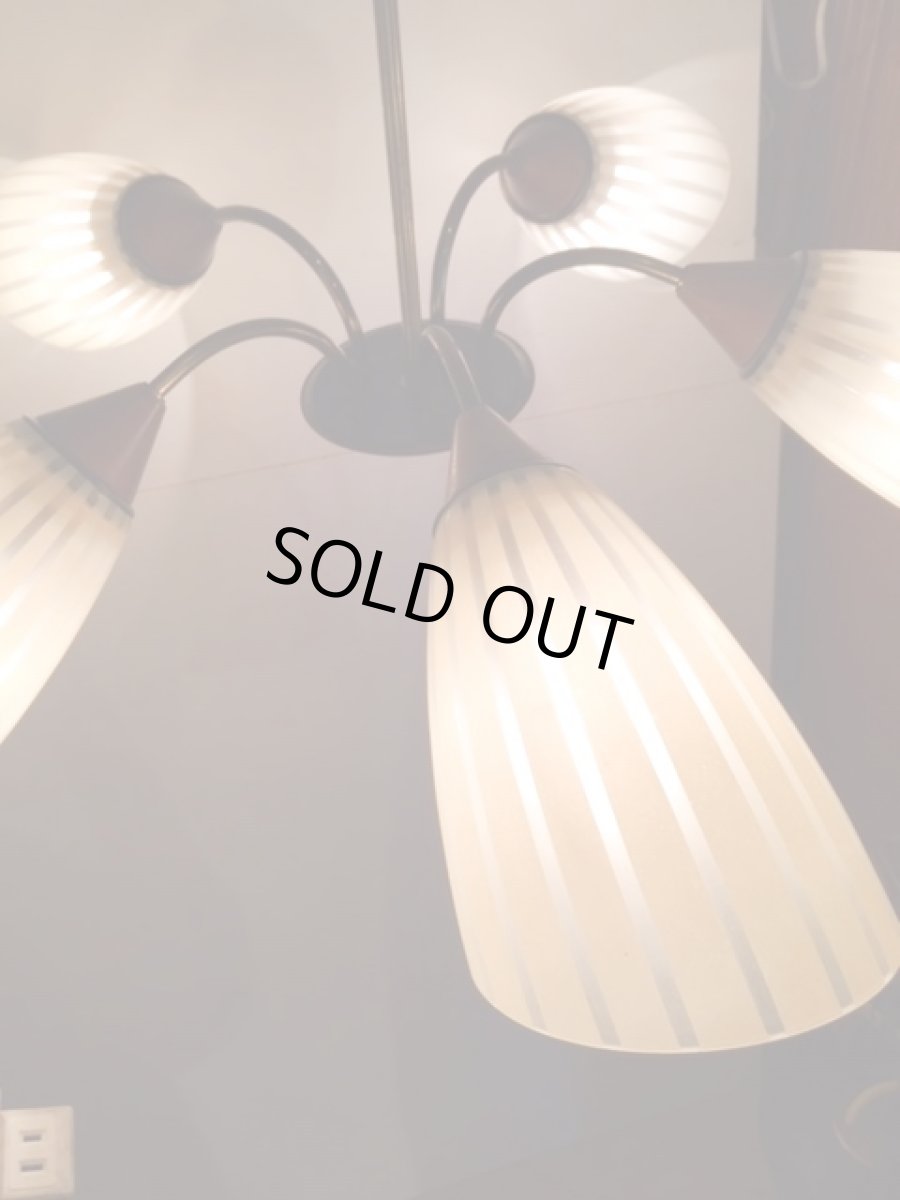 画像5: 5灯Modern Pendant Light (5)