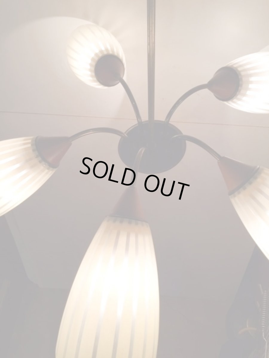 画像3: 5灯Modern Pendant Light (3)