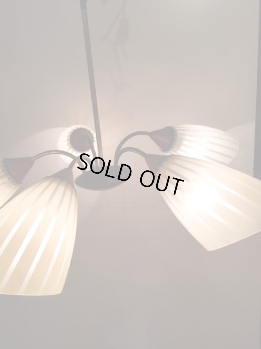 画像2: 5灯Modern Pendant Light (2)