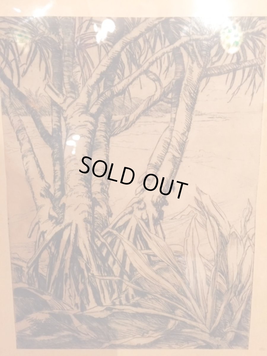 画像3: "Hawaii" Wall Hang (3)