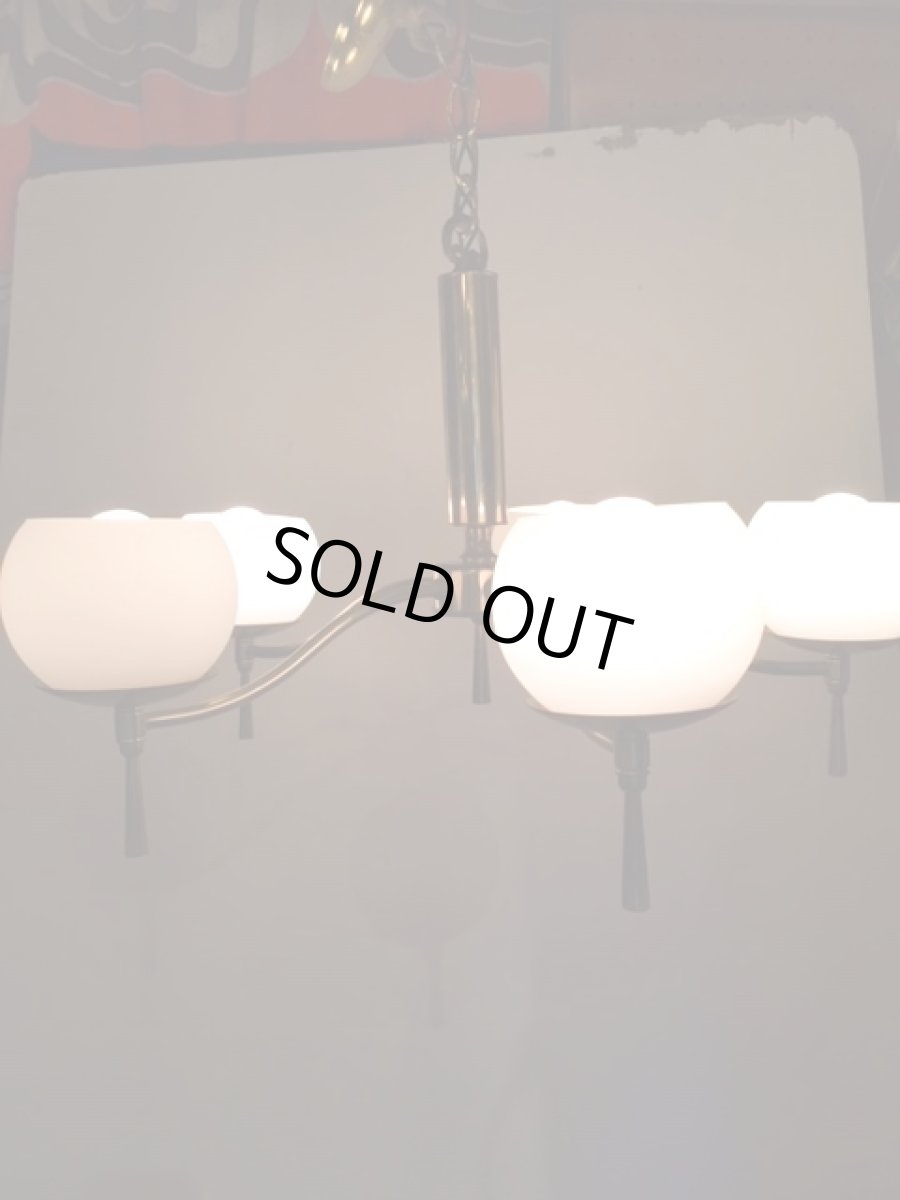 画像5: Modern 5灯 Pendant Light (5)