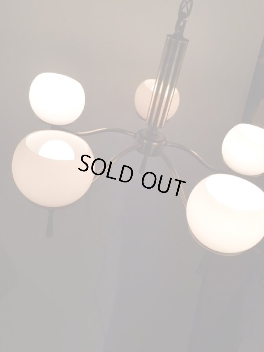 画像3: Modern 5灯 Pendant Light (3)