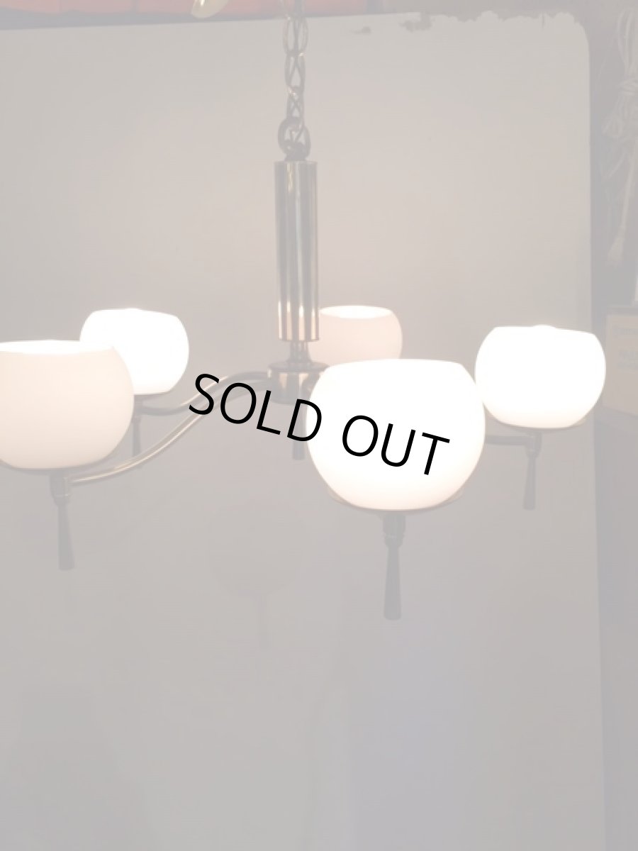 画像6: Modern 5灯 Pendant Light (6)