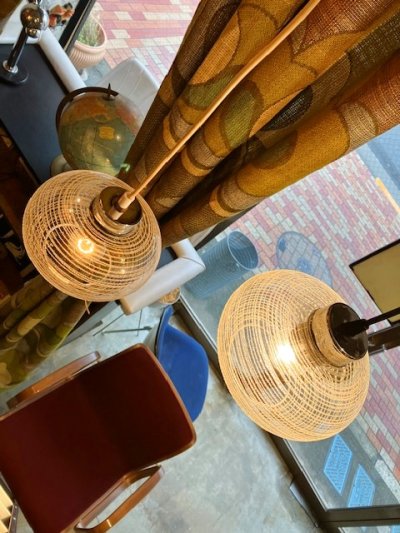 画像1: Modern Grass Pendant Light