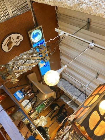 画像3: Modern Grass Pendant Light