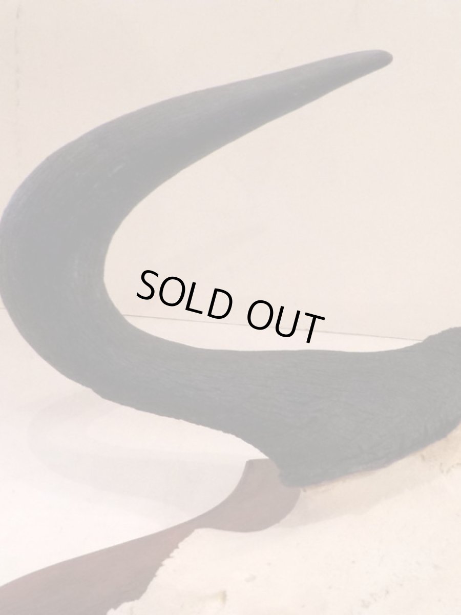 画像4: Skull Wall Hang (4)