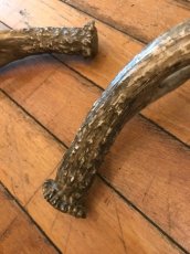 画像3: Antler Ornament (3)