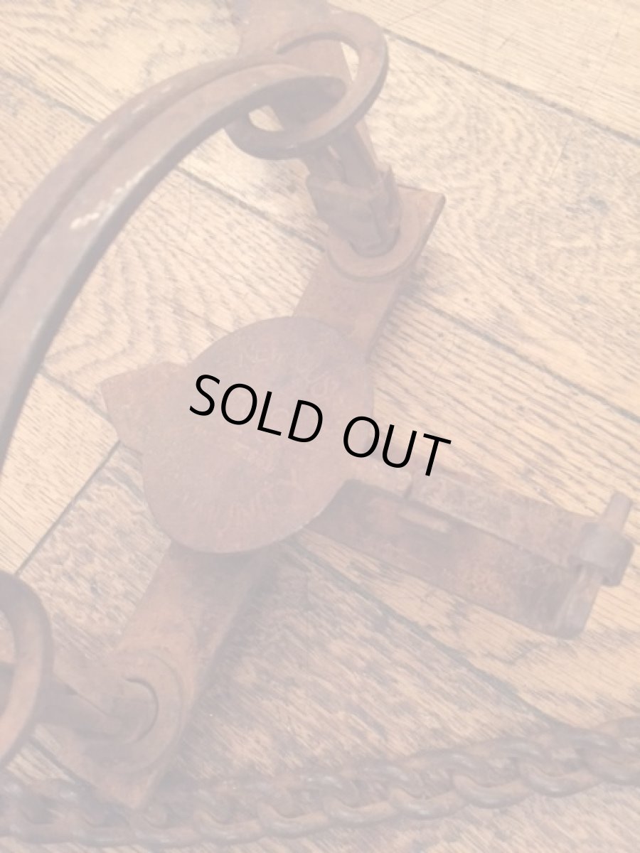 画像4: Iron Trash (4)