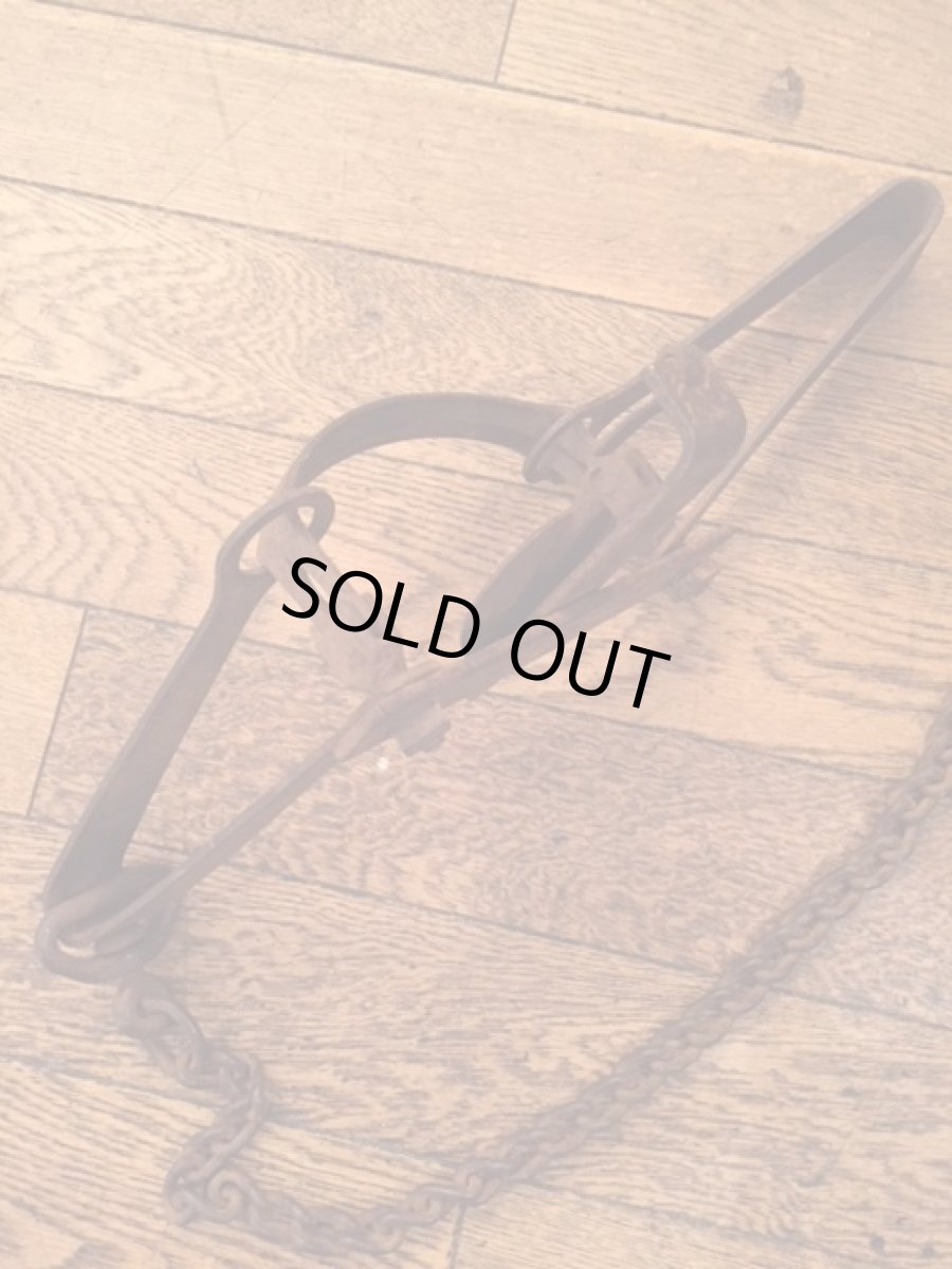 画像12: Iron Trash (12)